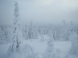 getImage (14)